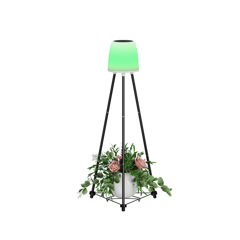 0.2W Mặt trời Giáng sinh trang trí đèn 0.3kg Inner Box Size 22*20*40.5CM G.W 1.9KG