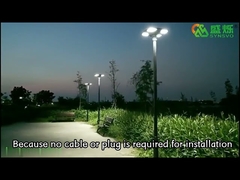 Đèn LED cỏ ba lá ngoài trời chống nước mới được liệt kê Đèn đường năng lượng mặt trời Cảm biến năng lượng mặt trời Đèn sân vườn